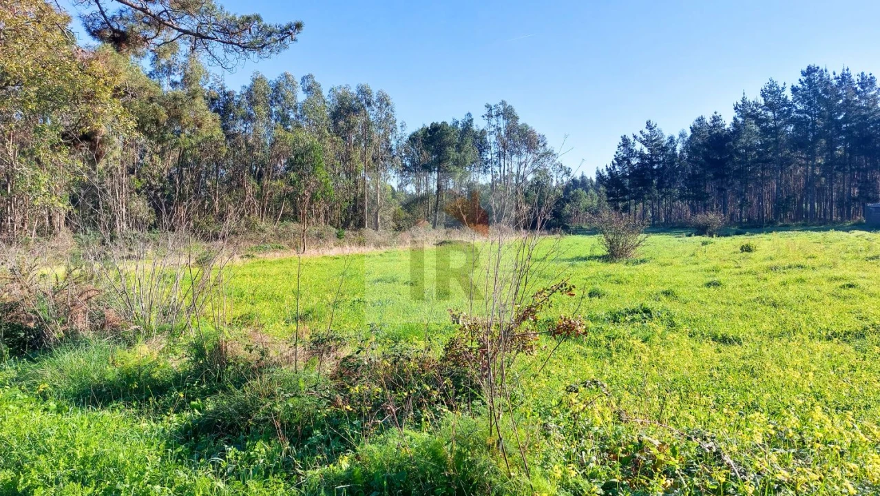 Terreno para Venda em São Martinho do Porto Foto 9