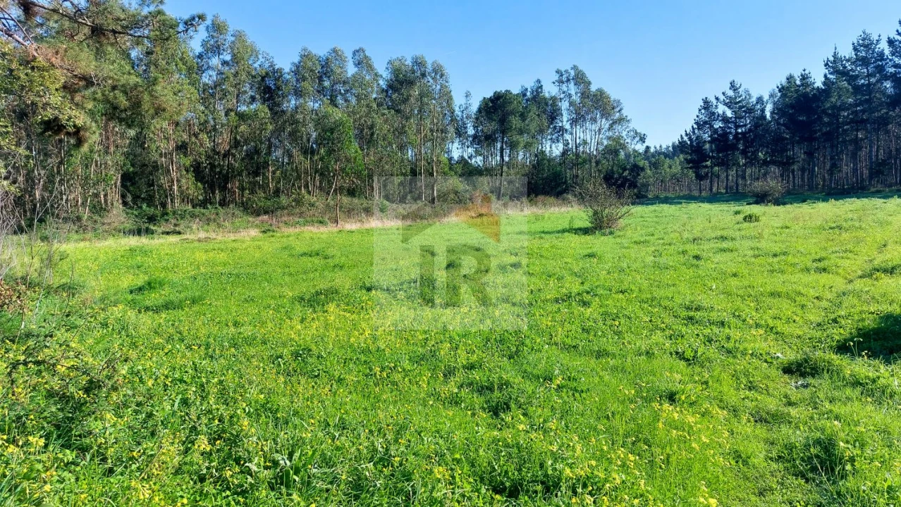 Terreno para Venda em São Martinho do Porto Foto 5