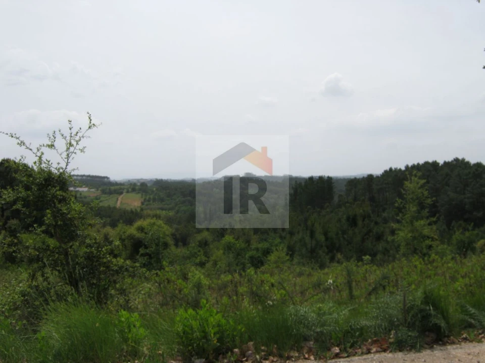 Terreno para Venda em Salir de Matos Foto 12