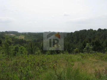 Terreno para Venda em Salir de Matos