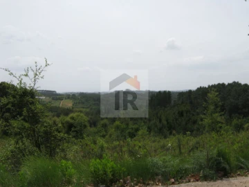Terreno para Venda em Salir de Matos