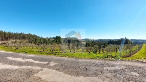 Terreno para Venda em Salir de Matos