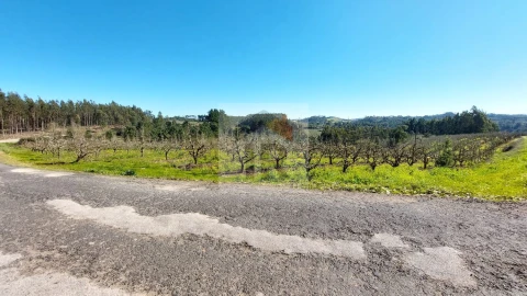 Terreno para Venda em Salir de Matos