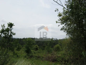 Terreno para Venda em Salir de Matos