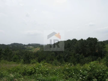 Terreno para Venda em Salir de Matos