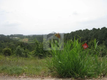 Terreno para Venda em Salir de Matos