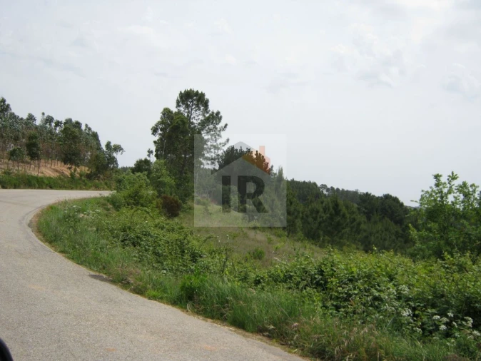 Terreno para Venda em Salir de Matos Foto 6