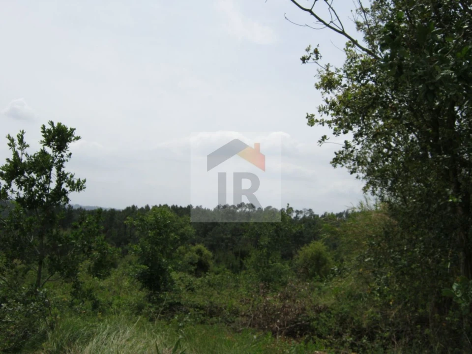 Terreno para Venda em Salir de Matos Foto 11