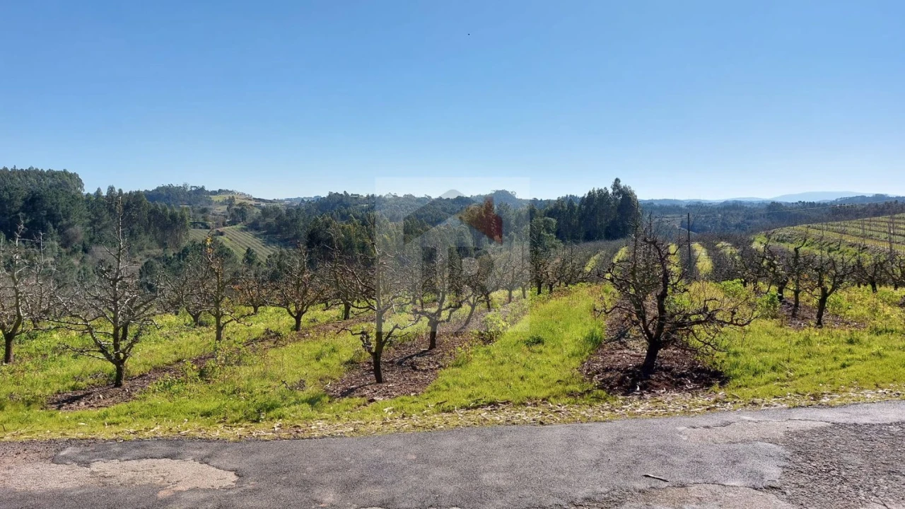 Terreno para Venda em Salir de Matos Foto 4