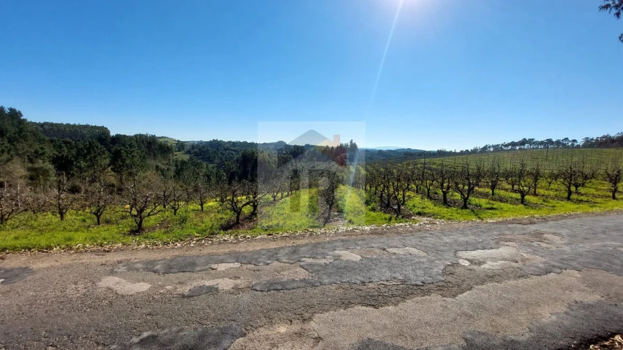Terreno para Venda em Salir de Matos