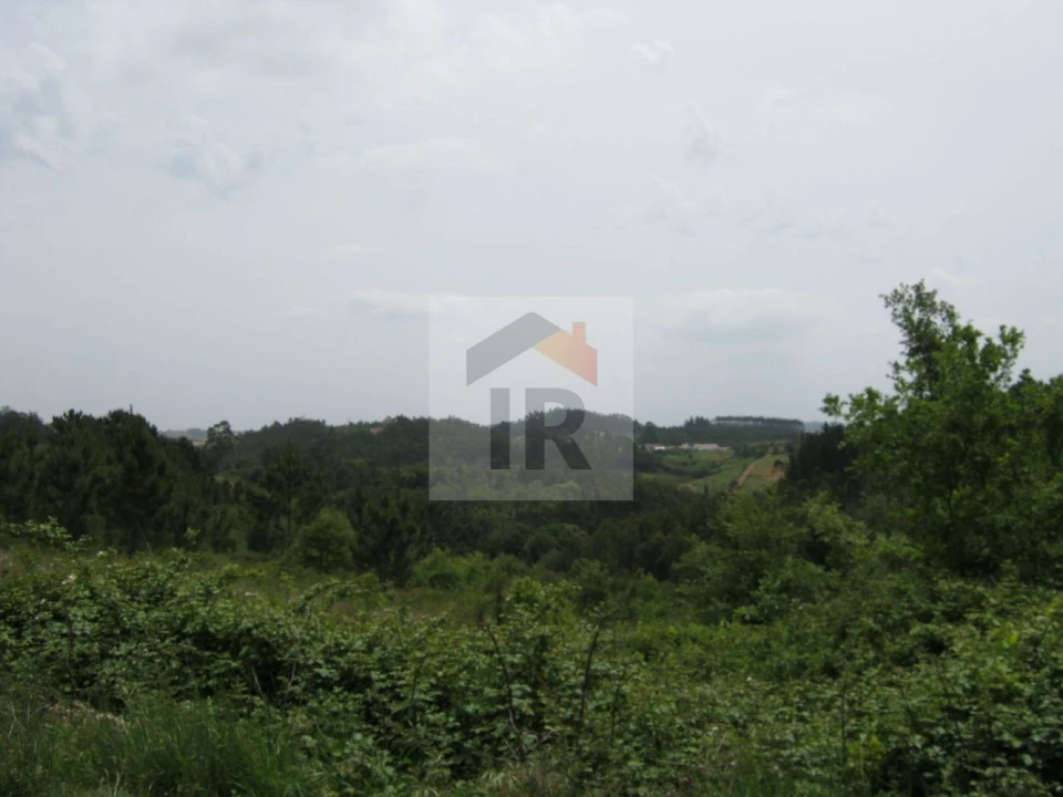 Terreno para Venda em Salir de Matos Foto 10