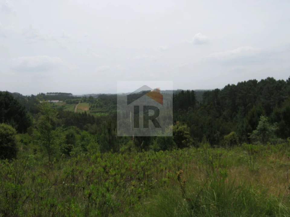 Terreno para Venda em Salir de Matos Foto 8