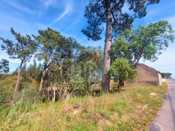 Terreno para Venda em Salir de Matos