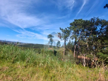 Terreno para Venda em Salir de Matos