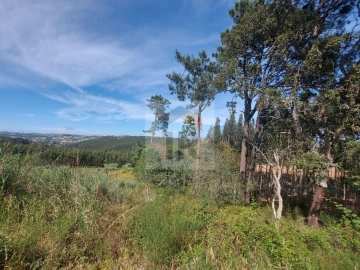 Terreno para Venda em Salir de Matos