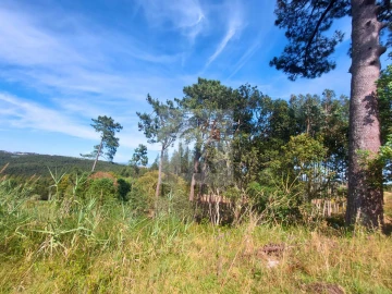 Terreno para Venda em Salir de Matos