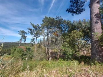 Terreno para Venda em Salir de Matos