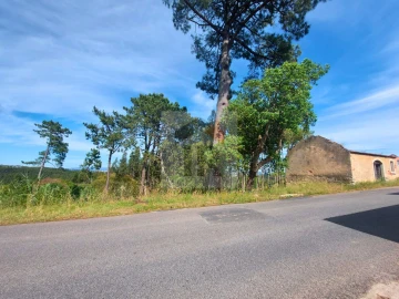 Terreno para Venda em Salir de Matos