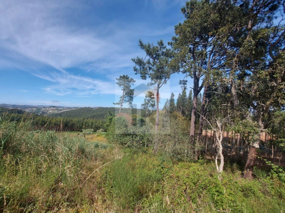 Terreno para Venda em Salir de Matos Foto 4
