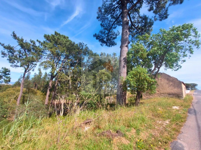 Terreno para Venda em Salir de Matos Foto 12