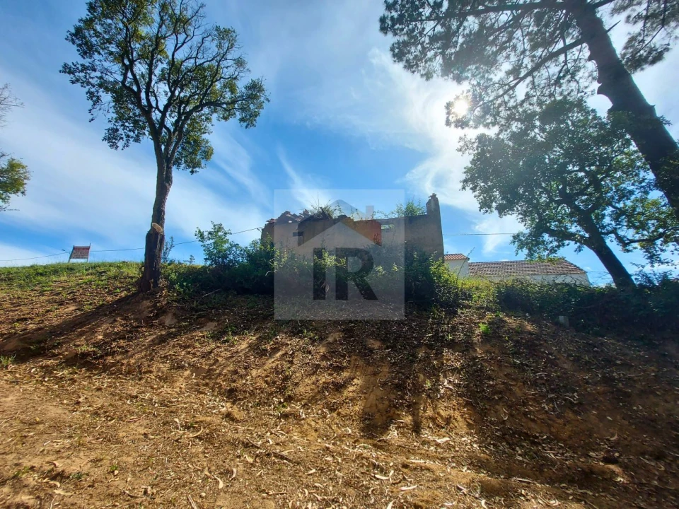 Terreno para Venda em Salir de Matos Foto 18