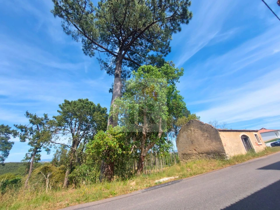Terreno para Venda em Salir de Matos Foto 3