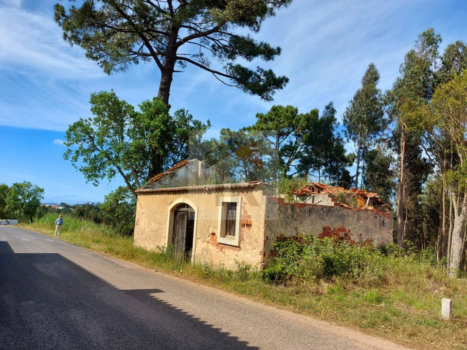 Terreno para Venda em Salir de Matos Foto 1