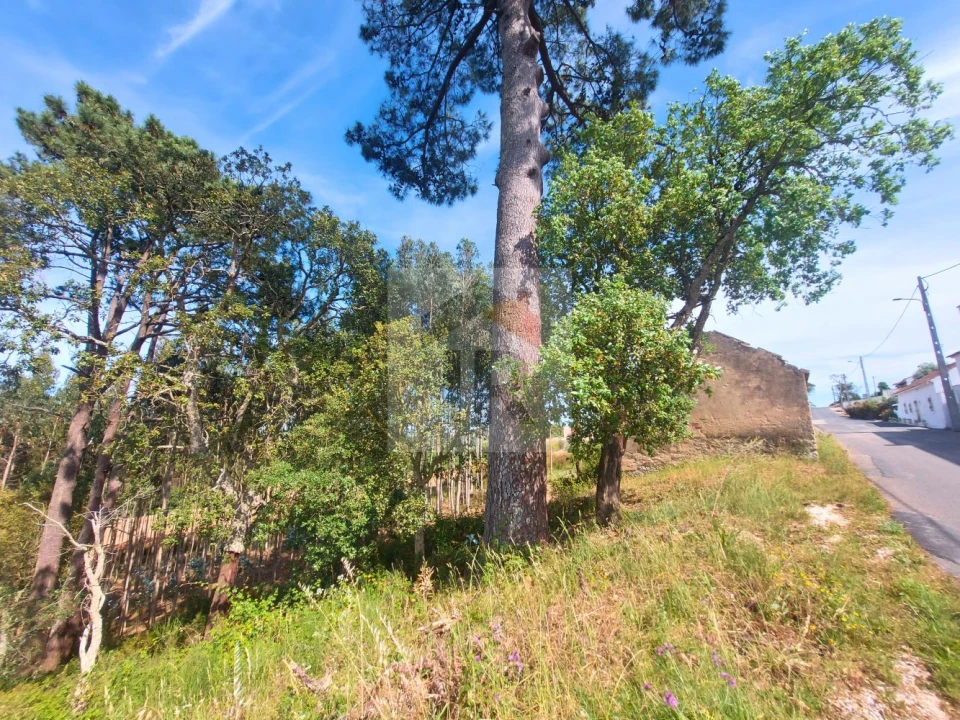 Terreno para Venda em Salir de Matos Foto 9