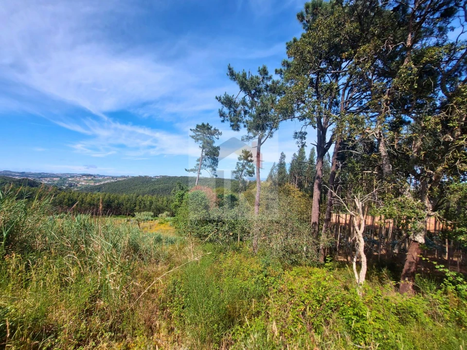 Terreno para Venda em Salir de Matos Foto 7