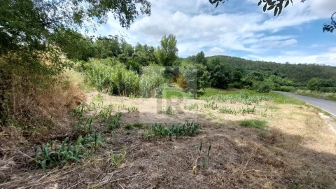 Terreno para Venda em Alvorninha