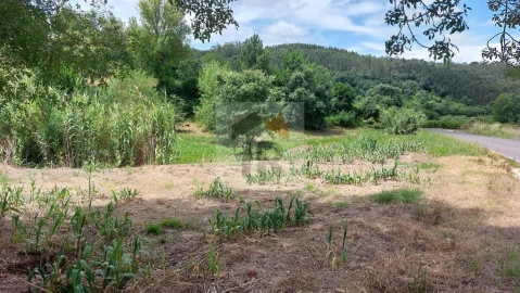 Terreno para Venda em Alvorninha