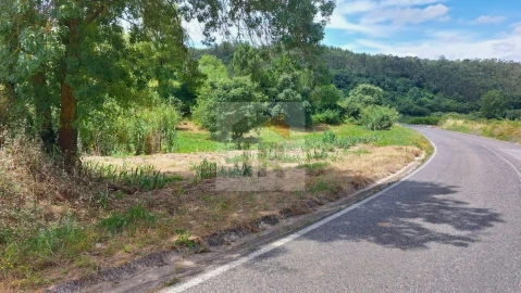 Terreno para Venda em Alvorninha