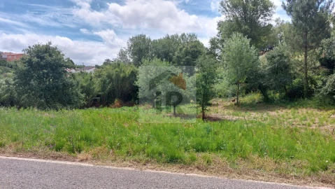 Terreno para Venda em Alvorninha