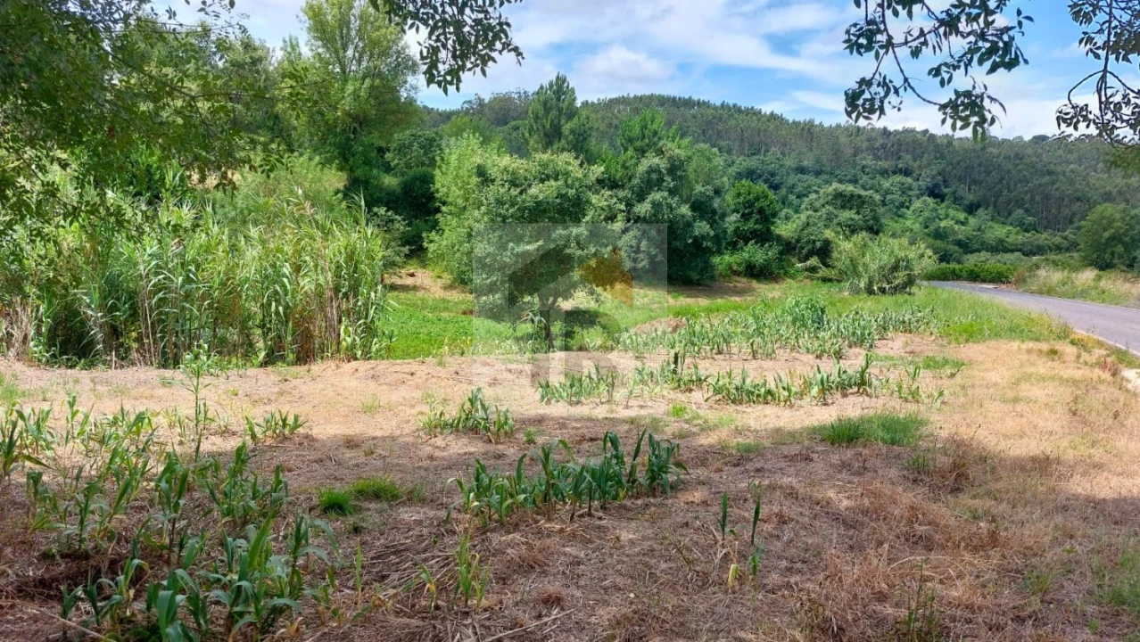 Terreno para Venda em Alvorninha Foto 3