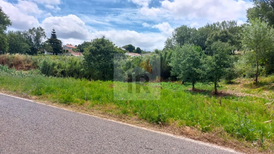 Terreno para Venda em Alvorninha Foto 11