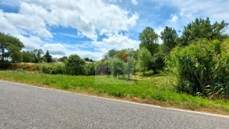 Terreno para Venda em Alvorninha Foto 17
