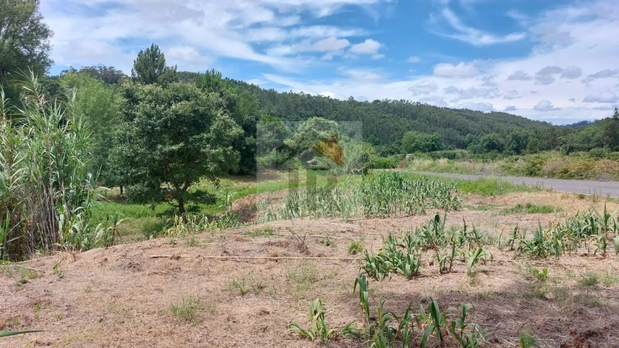 Terreno para Venda em Alvorninha