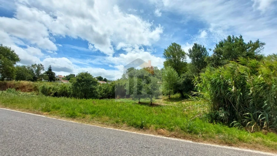 Terreno para Venda em Alvorninha Foto 16