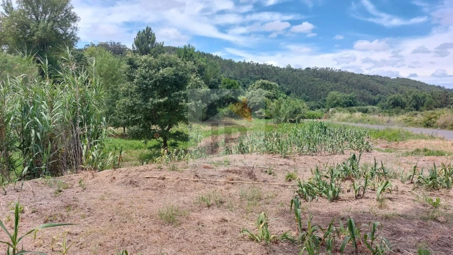 Terreno para Venda em Alvorninha Foto 6