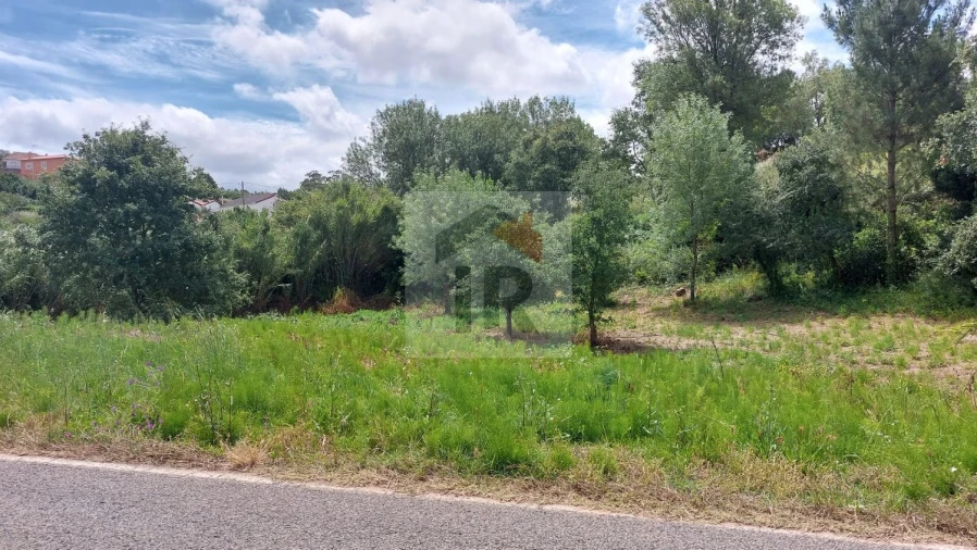 Terreno para Venda em Alvorninha Foto 4