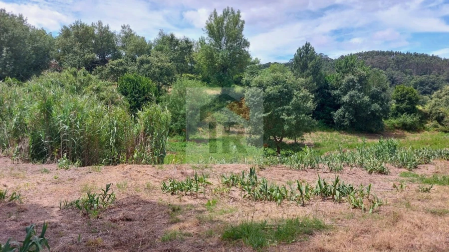 Terreno para Venda em Alvorninha