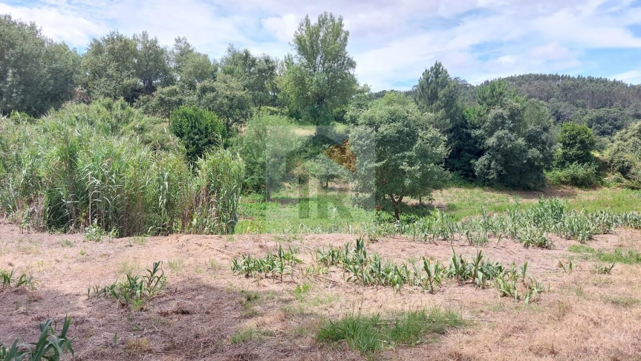 Terreno para Venda em Alvorninha Foto 8