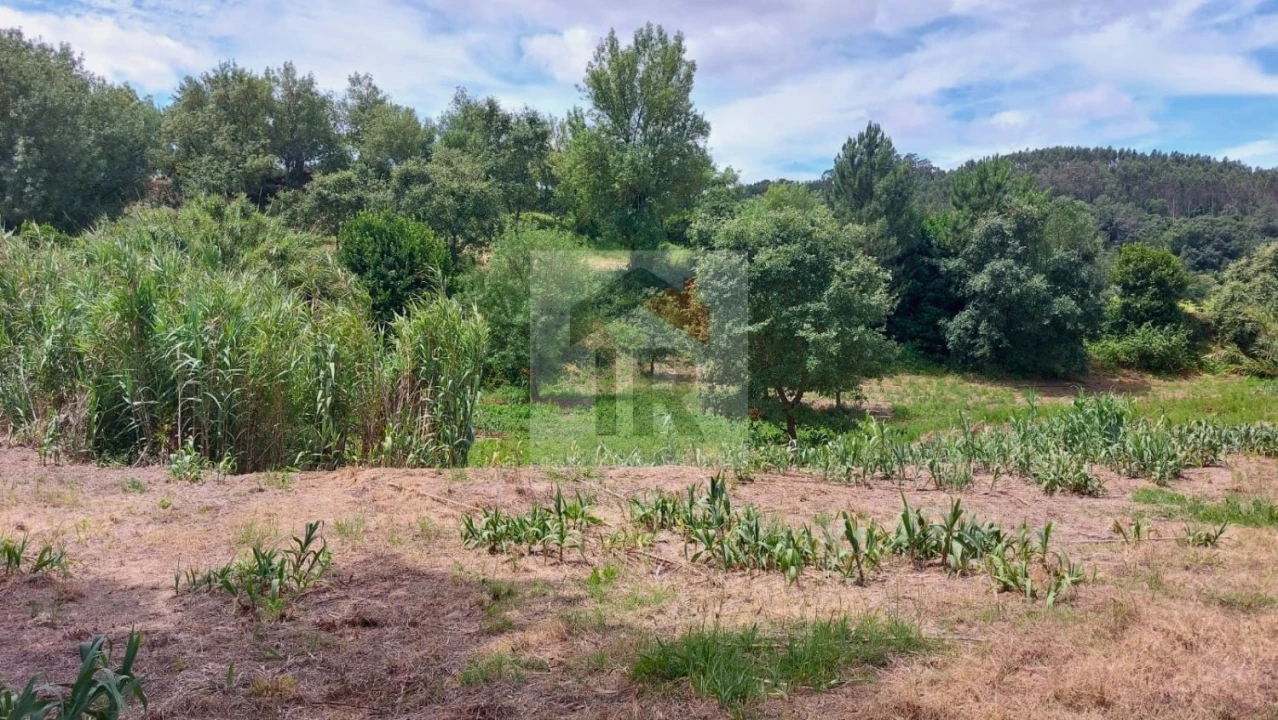 Terreno para Venda em Alvorninha Foto 1