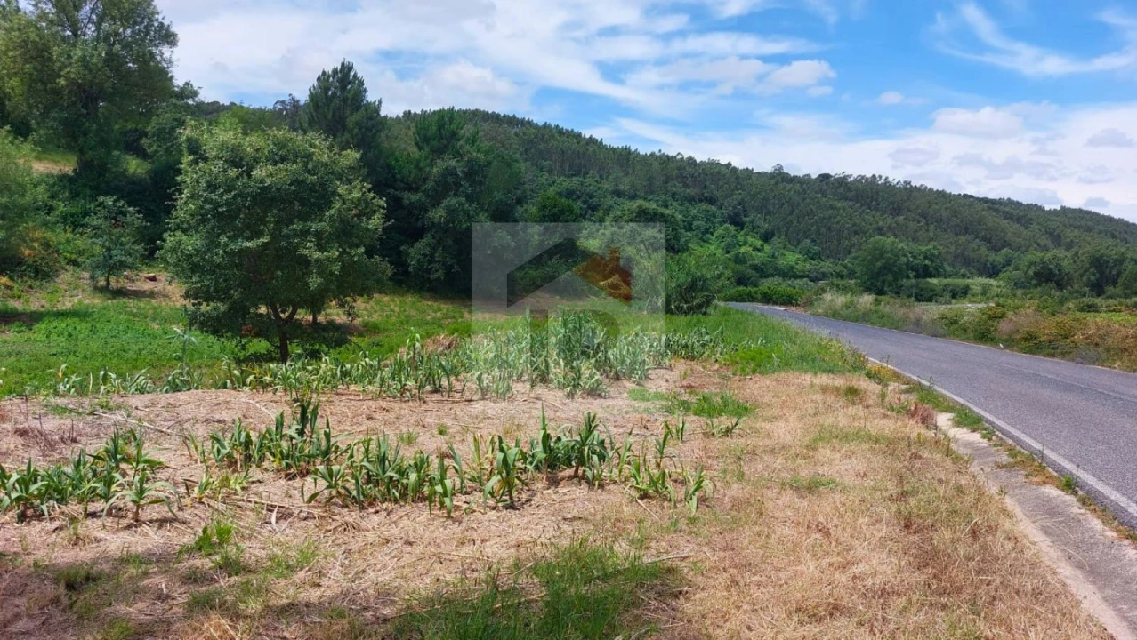 Terreno para Venda em Alvorninha Foto 4