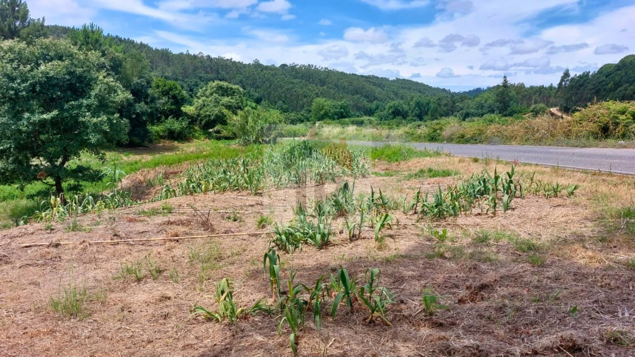 Terreno para Venda em Alvorninha Foto 5