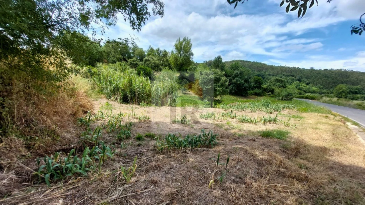 Terreno para Venda em Alvorninha Foto 9