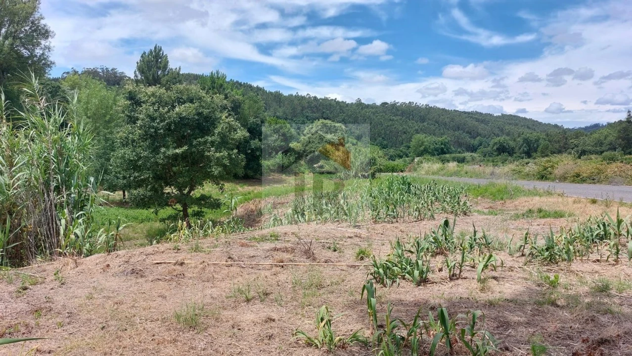 Terreno para Venda em Alvorninha Foto 1