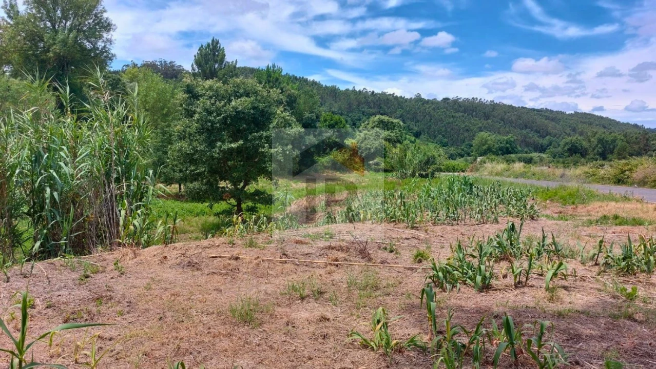 Terreno para Venda em Alvorninha Foto 8