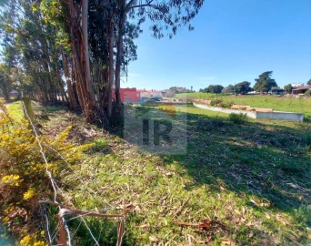 Terreno para Venda em Nossa Senhora do Pópulo, Coto e São Gregório