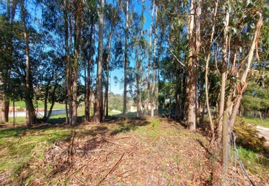 Terreno para Venda em Nossa Senhora do Pópulo, Coto e São Gregório